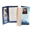 Playlist mit Songs von Cyril, Demi Lovato und anderen. Text über Katharina Juli, Jahrgang 1992. Aufnahmen von einem Hund und Landschaften.