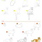 "Puma" und "Collie" sind Überschriften. Es sind Schritt-für-Schritt-Anleitungen zum Zeichnen eines Pumas und eines Collies.