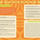**10 ANZEICHEN, DASS LÖWEN IN DICH VERLIEBT SIND** 

Enthält Tipps und Verhaltensweisen, wie Löwen ihre Zuneigung zeigen. Orange Hintergrund mit Wellenmuster.