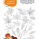 Im Wald gibt es viel zu entdecken. Pumuckl bastelt mit herbstlichen Kastanien und Laubblättern.