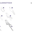 Titel: 274 WELLENSITTICH. Oben rechts: Jetzt bist du dran! Eine schrittweise Zeichnungsanleitung eines Wellensittichs.