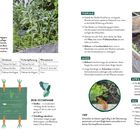 "BEETPLAN: DER FRÜHE VOGEL. Tabelle mit Voranzucht-Zeiten. Tipps für Februar bis Mai. Illustration mit Möhren, Text zu Schnecken."