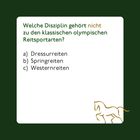 Frage zu Reitsportarten: a) Dressurreiten b) Springreiten c) Westernreiten. Illustration eines Pferdes unten rechts.
