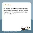 Antwort: b) Hühner locken durch Laute andere an, um Leckerbissen zu zeigen. Unten Hühner-Illustration.