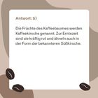 Antwort: b) Die Früchte des Kaffeebaumes heißen Kaffeekirsche, sind rot und ähneln der Süßkirsche. Hintergrund mit Kaffeebohnen.