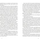 Seitenzahlen: 12 und 13. Text beschreibt eine Diskussion über Kaspar Hauser, ein historisches und mysteriöses Thema.