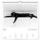 "April. 'Katzen sind hinter ihrer Katzenschönheit versteckt. Sie sind einfach da und genügen sich selbst.' Kalender mit Katze."