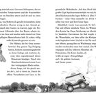 Zwei Textspalten mit einer Illustration unten: Ein Roboter liegt auf dem Rücken mit Hühnern daneben, die wegfliegen.