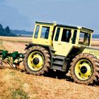 "MB trac 1000 turbo" steht auf einem großen, gelben Traktor auf einem Feld. Rechts sind dichte Wälder.