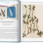 Links: "Album mit Cyanotypien und getrockneten Farnen aus unterschiedlichen Gegenden, ca. 1843." Rechts: Getrocknete Pflanzen.