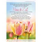 "Nimm dir Zeit." - Zitat von Ruth Heil über Ruhe und Freude. Eine Biene auf einer pink-gelben Tulpe.