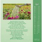 Text über Erschöpfung, Liebe und Hoffnung. Ein Kalender zeigt April-Daten. Foto: Gießkanne wässert rosa Blumen.