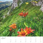 April-Kalenderblatt; oben: Berglandschaft mit steilen Felsen, Wiese mit orange-roten Lilien im Vordergrund.