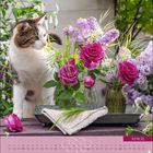 Kalenderseite für April. Eine Katze riecht an einem Blumenarrangement mit lila Flieder und pinken Rosen.