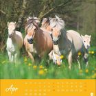 Kalenderseite für April mit Wochentagen. Foto: Pferde laufen auf einer Wiese voller gelber Blumen.