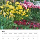 April-Kalender mit Frühlingsblumen: Gelbe Narzissen, rote und rosa Tulpen, im Hintergrund grüne Blätter.