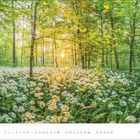 April, darunter ein Kalender mit Zahlen 1 bis 30. Ein lichter Wald mit blühendem Bärlauch im Sonnenuntergang.