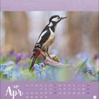 Text: "Apr", Kalendertage mit Daten darunter. Specht auf Ast in Blumenfeld.