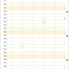 Kalender für April. Oben steht "Name". Unten sind Illustrationen von Katzen mit den Texten "Die große Katzenwäsche" und "Die schnelle Katzenwäsche".