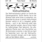 SA 8.07, 3.12.2021, MA 6.49. Weihnachtskaktus: stammt aus Brasilien, blüht Nov-Jan, hellen oder halbschattigen Platz wählen.