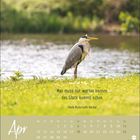 "Man muss nur warten können. Das Glück kommt schon." - Paula Modersohn-Becker. Kalender April, Reiher am Wasser.
