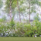 "April" und darunter ein Kalenderlayout. Eine friedliche Waldszene mit Birken und weiß blühenden Pflanzen.