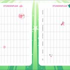 Stundenplan mit einer Tabelle für Wochentage und Zeit; Dekorationen mit rosa- und grünen Motiven.