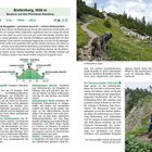 Breitenberg, 1838 m - Bergtour auf den Pfrontener Hausberg. Bild zeigt Hund auf Wanderweg und zwei Menschen in Gebirge mit Fahnen.