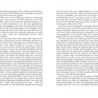 Seite mit Text über die Stimmung im Stadion von Newcastle United und Kritik an Mike Ashley. Seitenzahlen 12 und 13.