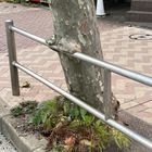 Zwei Metallstangen umarmen einen Baum, daneben ein grünes Pflanzenbeet auf einer gepflasterten Fläche. Im Hintergrund ein Getränkeautomat.