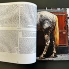 Text auf Seite: Schildert die Einflüsse von Trabwerken und Ben Linman.  
Rechts: Foto eines Pferdes neben einem Autoanhänger.