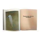 "Francisco Sierra Alhambra" auf einer Seite. Eine Illustration einer sich entrollenden Schriftrolle auf der linken Seite.