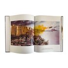 „Plague in the Kingdom of Naples, 1656-1658. 2014. Oil and oil on wood, 91 x 191 inches.“ Zwei abstrakte Gemälde.