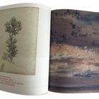 Heinrich Reinhold, Junge Kastanie, 1822, Bleistift auf Papier. Links eine Baumzeichnung, rechts ein stimmungsvoller Himmel.