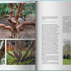 "AUF ENTDECKUNGSTOUR" oben im Textblock. Verschiedene Baumrinden und Bäume, darunter dünne und dicke, kahle Äste.