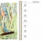 Kalenderseite für Septemberwoche 13.–19.; links Illustration: zwei Vögel zwischen Schilf; rechts Wochentage.