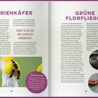 "Kennt du die Eier und Larven der Marienkäfer?" steht links, daneben marienkäferartige Insekten auf Blüten. Rechts "Grüne Florfliegen".