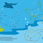 Text: "Erstaunlich! Manche Rochenarten besitzen eine Spannweite von fast neun Metern. Hier tummeln sich Stachel-, Manta-, und Blaupunktrochen." Punkt-zu-Punkt-Illustration von Rochen im Meer mit Pflanzen und Luftblasen.