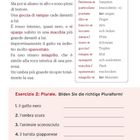 Zwei Textblöcke: Ein italienischer Text mit Vokabelerklärungen und darunter deutsche Übungen zur Pluralbildung.