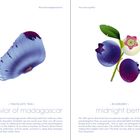 Links: "Traveler's Tree. The savior of Madagascar." Blaue längliche Illustration. Rechts: "Blueberry. Midnight berry." Blaue Beeren und Blätter.