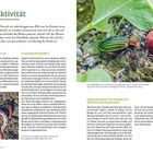 Texte: "Bodenaktivität", "Drei Würmer sind ok...", "Fließbandarbeit", "Indikatoren für einen gut entwickelten Boden". Rechts ein Käfer neben Radieschen.