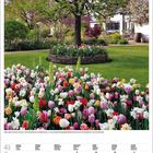 April 2027 Kalender. Blumenwiese mit Tulpen und Narzissen, Baum in der Mitte, im Hintergrund ein Haus und Garten.