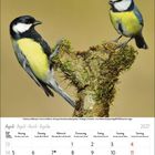 Kalender für April 2027 mit Blaumeise und Kohlmeise auf moosbedecktem Ast.