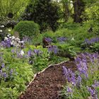 Ein Gartenpfad, gesäumt von üppigen lila Blüten und grünem Laub, führt durch eine dichte, grüne Waldszene.