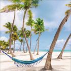 Hängematte zwischen Palmen an einem weißen Sandstrand mit türkisfarbenem Meer und blauem Himmel.