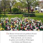 Zitat von Karl Foerster über Blumen. Kalender für April (20.-27. Woche). Foto: Blühender Garten mit bunt gemischten Tulpen.
