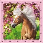 Ein kastanienbraunes Pferd mit weißer Mähne vor blühenden Bäumen, umrahmt von rosa Hintergrund mit kleinen Pferdesilhouetten.