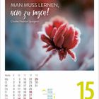 "Man muss lernen, nein zu sagen!" steht über einer frostbedeckten roten Blume. Kalender zeigt Montag, 15. März.