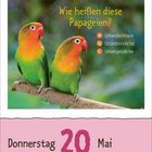 "Wie heißen diese Papageien? a) Unbestechbare b) Unzertrennliche c) Unvergessliche. Donnerstag, 20. Mai.” Zwei bunte Papageien auf einem Ast.