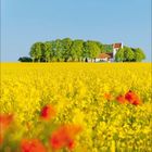 Kalenderblatt mit dem Monat April 2017, darunter eine Landschaft mit gelbem Rapsfeld, Bäumen und einer Kirche.